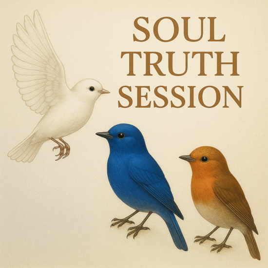 soul truth session